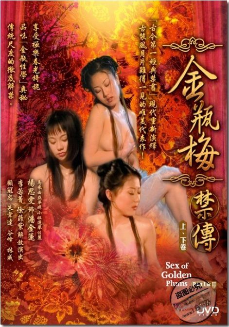新金瓶梅2