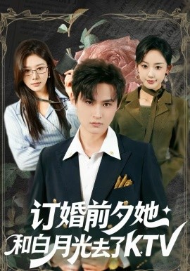 订婚前夕她和白月光去了 KTV