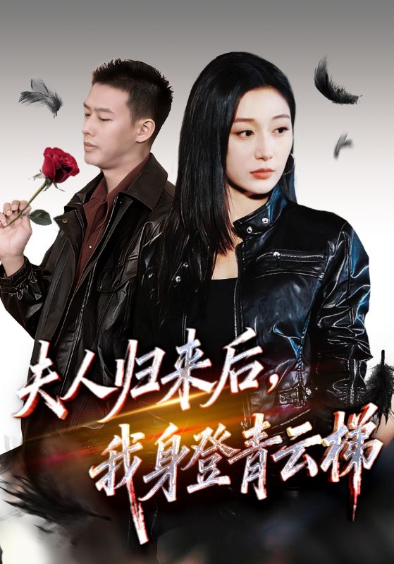 夫人归来后我身登青云梯