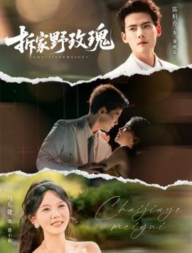 拆家野玫瑰