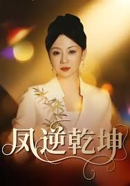 凤逆乾坤