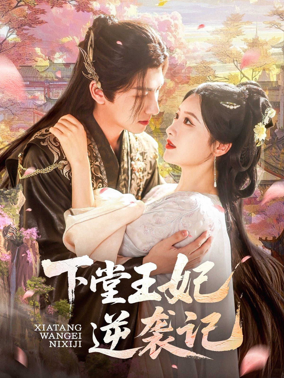 下堂王妃逆袭记